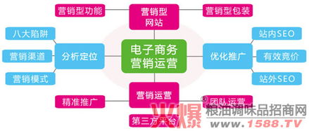 电子商务营销整合传播策略与网络营销策划
