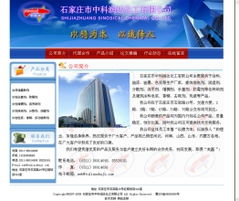 石家庄网站建设首选燕赵互联 网站制作、网络营销与优化的全方位解决方案